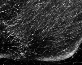 Saltwater Ghost Hair, Black